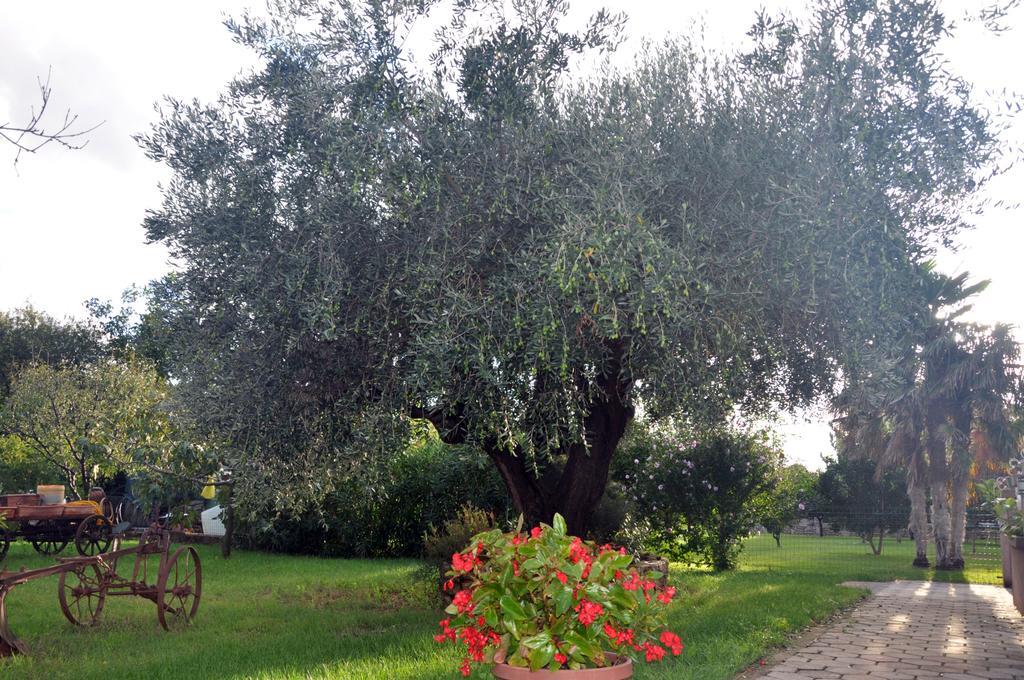Franko Apartmani Zambratija  Εξωτερικό φωτογραφία