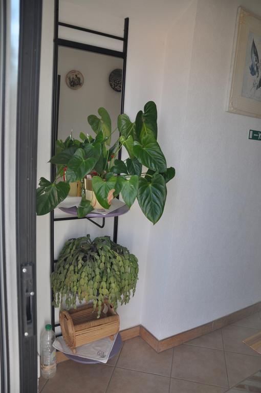 Franko Apartmani Zambratija  Εξωτερικό φωτογραφία