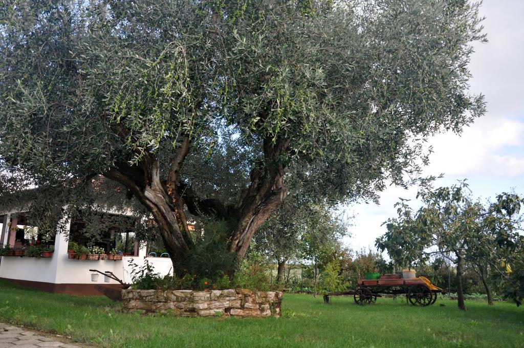 Franko Apartmani Zambratija  Εξωτερικό φωτογραφία
