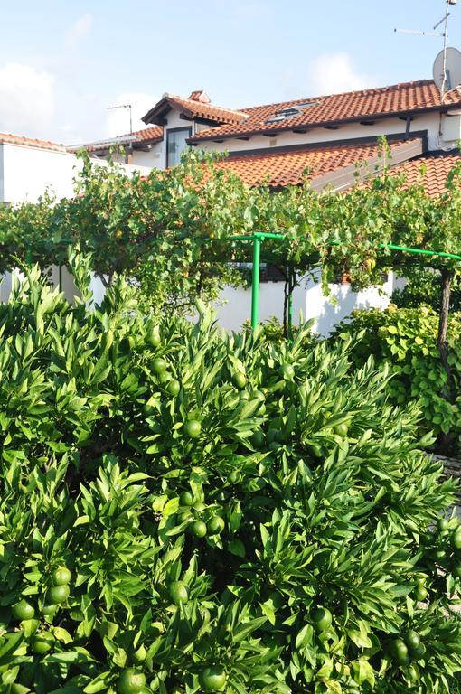 Franko Apartmani Zambratija  Εξωτερικό φωτογραφία